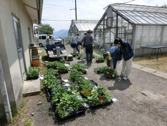 20220413野菜準備