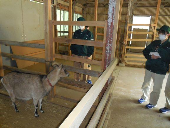 20220419山地見学１