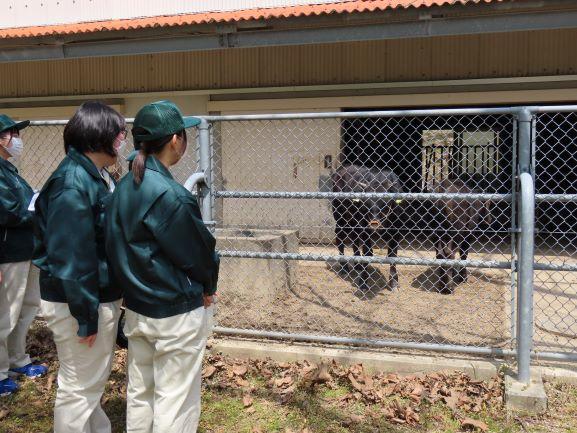 20220419山地見学２