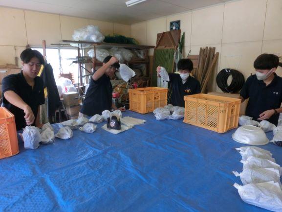 20220908ブドウ収穫1