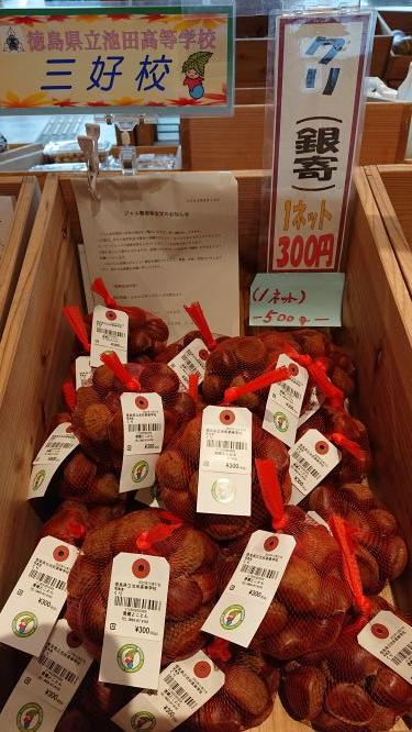 20221014クリ収穫３