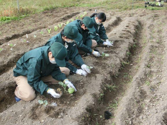 20221125農業環境１２１