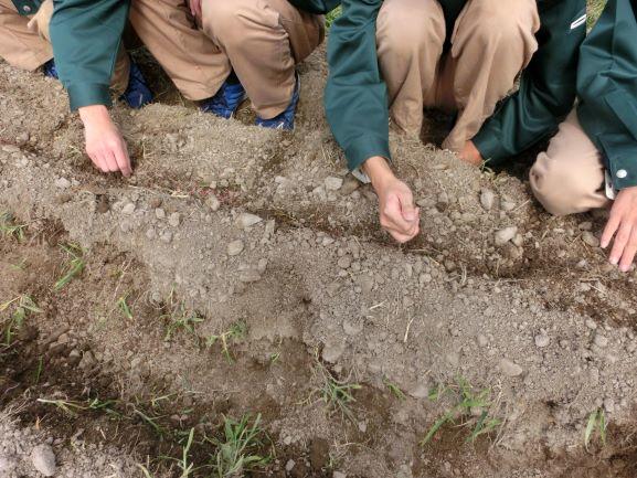 20221125農業環境１２２