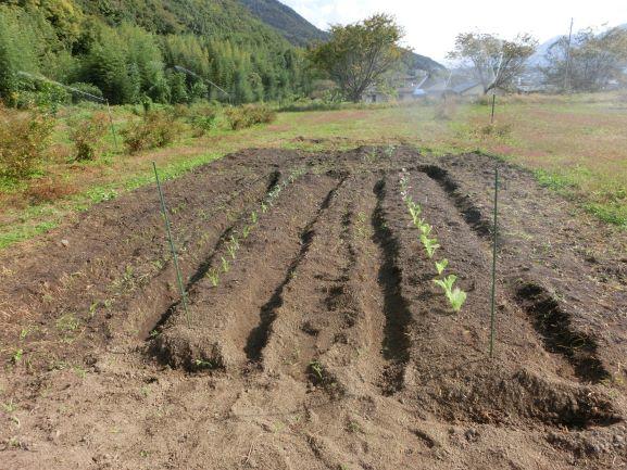 20221125農業環境１２４