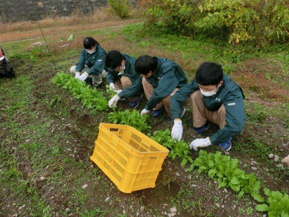 20221125農業環境１２３