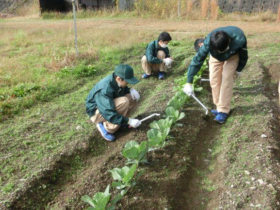 20221125農業環境１２６