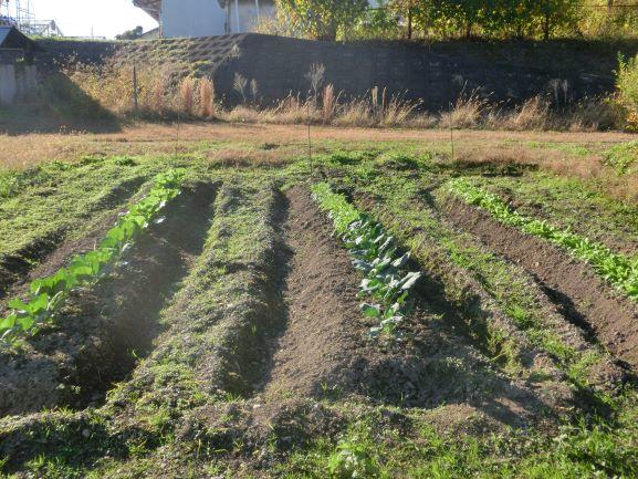 20221125農業環境１２５